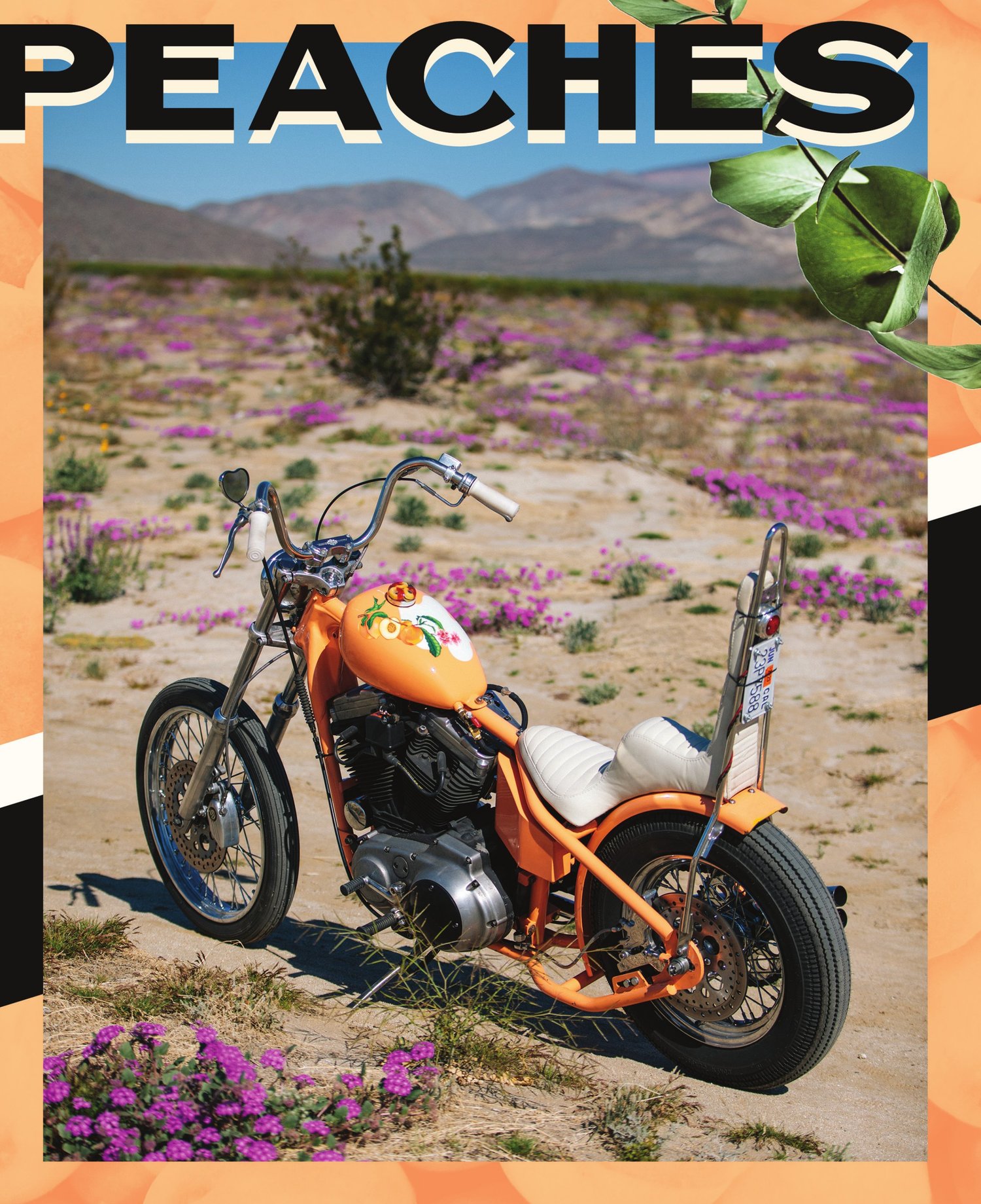 Dice Magazine Issue#101